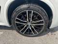 BMW X5 xDrive30d 48V Msport Bianco - thumbnail 22