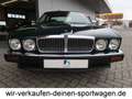 Jaguar XJ40 3.2 Oldtimer HU neu außergw. Zust. deut. Fzg. Verde - thumbnail 21
