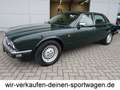Jaguar XJ40 3.2 Oldtimer HU neu außergw. Zust. deut. Fzg. Verde - thumbnail 2