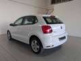 Volkswagen Polo Polo 5p 1.4 tdi bm Comfortline 75cv - thumbnail 5
