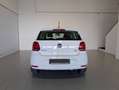 Volkswagen Polo Polo 5p 1.4 tdi bm Comfortline 75cv - thumbnail 6