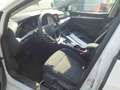 Volkswagen Golf Variant Golf VIII Variant 2.0 TDI Life DSG NAVI ACC APP Weiß - thumbnail 10