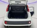 Fiat Panda 1.0 FireFly S&S Hybrid SENZA FINANZIAMENTO Blanc - thumbnail 21