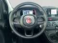Fiat Panda 1.0 FireFly S&S Hybrid SENZA FINANZIAMENTO Blanc - thumbnail 14