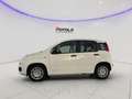 Fiat Panda 1.0 FireFly S&S Hybrid SENZA FINANZIAMENTO Blanc - thumbnail 4