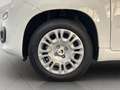 Fiat Panda 1.0 FireFly S&S Hybrid SENZA FINANZIAMENTO Blanc - thumbnail 10