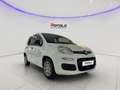Fiat Panda 1.0 FireFly S&S Hybrid SENZA FINANZIAMENTO Blanc - thumbnail 3