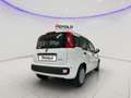 Fiat Panda 1.0 FireFly S&S Hybrid SENZA FINANZIAMENTO Blanc - thumbnail 6