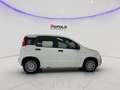 Fiat Panda 1.0 FireFly S&S Hybrid SENZA FINANZIAMENTO Blanc - thumbnail 5