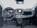Fiat Panda 1.0 FireFly S&S Hybrid SENZA FINANZIAMENTO Blanc - thumbnail 16