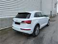 Audi SQ5 TFSI B&O Panorama 360Kamera ACC Assist White - thumbnail 5