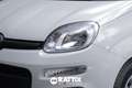 Fiat Panda 1.0 Firefly Hybrid 70CV 5p.ti + Pack City Bianco - thumbnail 3