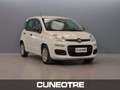 Fiat New Panda Panda 1.0 FireFly S&S Hybrid Weiß - thumbnail 1