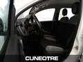Fiat New Panda Panda 1.0 FireFly S&S Hybrid Weiß - thumbnail 4