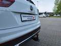 Volkswagen Tiguan Elegance 2.0 TDI DSG 4M BusinessPre. Allrad KLIMA Blanc - thumbnail 24