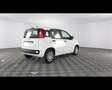 Fiat Panda 1.0 FireFly Hybrid Bianco - thumbnail 10