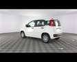 Fiat Panda 1.0 FireFly Hybrid Bianco - thumbnail 14