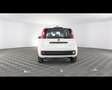 Fiat Panda 1.0 FireFly Hybrid Bianco - thumbnail 12