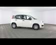 Fiat Panda 1.0 FireFly Hybrid Bianco - thumbnail 7