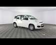 Fiat Panda 1.0 FireFly Hybrid Bianco - thumbnail 6