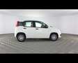 Fiat Panda 1.0 FireFly Hybrid Bianco - thumbnail 8