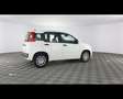 Fiat Panda 1.0 FireFly Hybrid Bianco - thumbnail 9