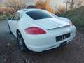 Porsche Cayman Cayman S Weiß - thumbnail 2