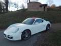 Porsche Cayman Cayman S Weiß - thumbnail 1
