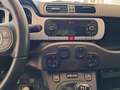 Fiat Panda Panda III  4x4 0.9 t.air t. Cross 4x4 s Verde - thumbnail 9