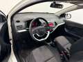 Kia Picanto 1.0i Sense Airco - 1erMain Blanc - thumbnail 10
