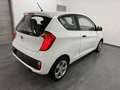 Kia Picanto 1.0i Sense Airco - 1erMain Blanc - thumbnail 5