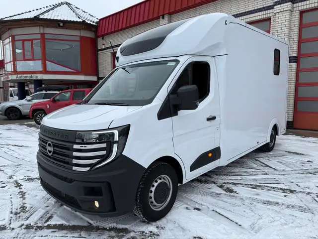 Nissan INTERSTAR WIE RENAULT MASTER, 1-2 PFERDETRANSP.