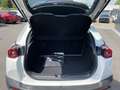 Mazda MX-30 EV,3 phasig ADVANTAGE,1 Hand. Blanc - thumbnail 5