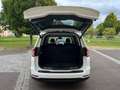 Ford Galaxy 2,0 EcoBlue SCR Titanium Aut. 7 SITZE, elektr. ... Blanc - thumbnail 21