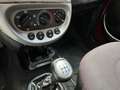Ford Ka/Ka+ 1.3 *OK NEOPATENTATI  - CLIMA* Rouge - thumbnail 20