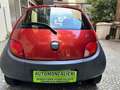 Ford Ka/Ka+ 1.3 *OK NEOPATENTATI  - CLIMA* Rouge - thumbnail 16