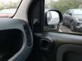 Fiat Panda 4x2 FireFly Hybrid 70 Grau - thumbnail 16
