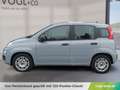 Fiat Panda 4x2 FireFly Hybrid 70 Grau - thumbnail 2