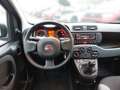 Fiat Panda 4x2 FireFly Hybrid 70 Grau - thumbnail 4