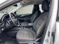 Ford Kuga Titanium Weiß - thumbnail 10