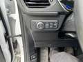 Ford Kuga Titanium Weiß - thumbnail 13