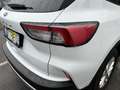 Ford Kuga Titanium Weiß - thumbnail 16