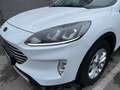 Ford Kuga Titanium Weiß - thumbnail 15