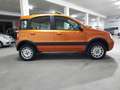 Fiat Panda Panda II 2009 1.2 Climbing 4x4 Arancione - thumbnail 6