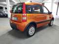 Fiat Panda Panda II 2009 1.2 Climbing 4x4 Arancione - thumbnail 5