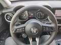 Alfa Romeo Stelvio ALFA ROMEO STELVIO 2.2 160CV AT8 EXECUT 54049-2021 Vert - thumbnail 13