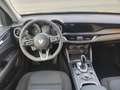 Alfa Romeo Stelvio ALFA ROMEO STELVIO 2.2 160CV AT8 EXECUT 54049-2021 Vert - thumbnail 8