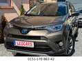 Toyota RAV 4 4 2.5 Hybrid-S Scheckheft/Kamera/LED Brun - thumbnail 1