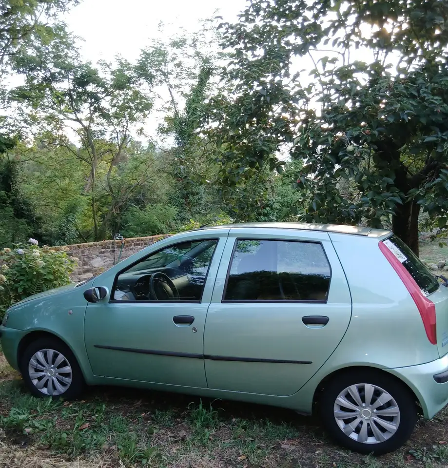 Fiat Punto 5p 1.2 16v ELX speedgear, foto 1