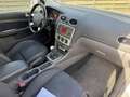 Ford Focus 1.8-16V Ambiente Flexifuel Export Gris - thumbnail 11
